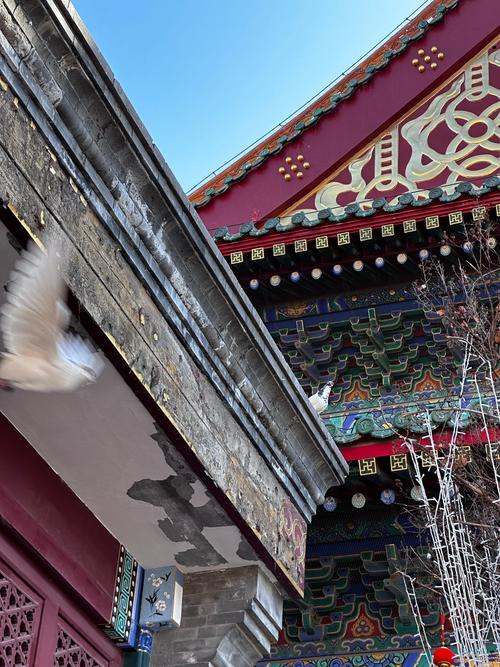 大悲禅院（天津）