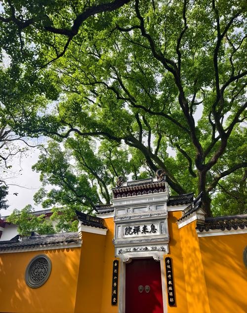 普济寺（浙江）