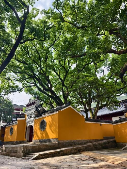 普济寺（浙江）